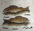 fish-mosaic