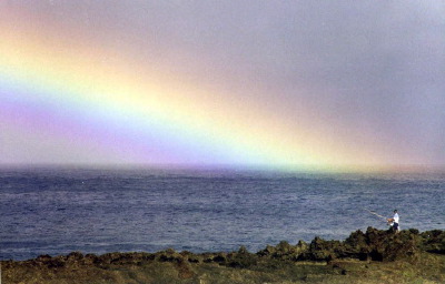 sharkscove-rainbow